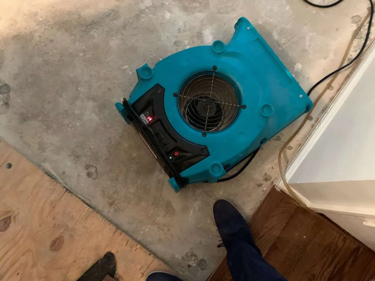 Air mover drying subfloor during Leak Detection & Repair in Montrose